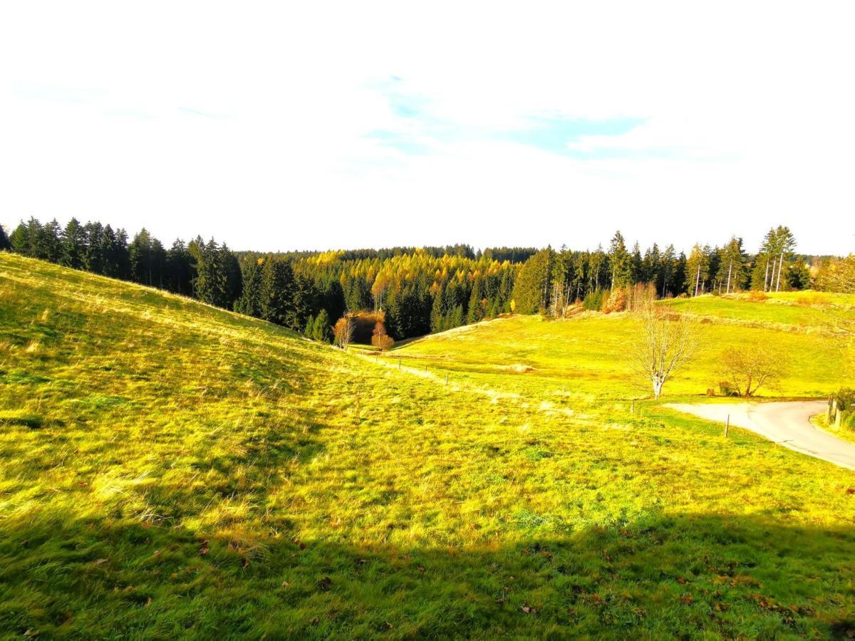 Ferienwohnung Am Bergmannsbrunnen Schönheide Екстериор снимка