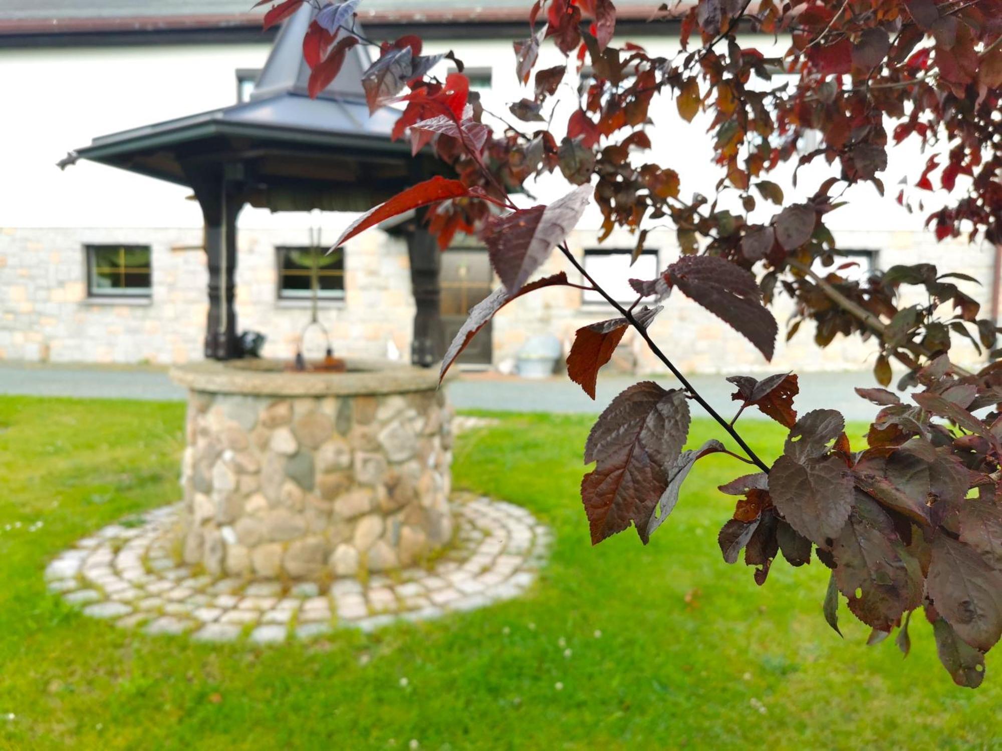 Ferienwohnung Am Bergmannsbrunnen Schönheide Екстериор снимка